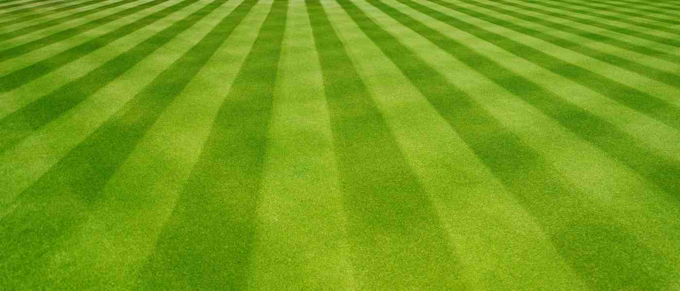 11 Easy-To-Execute Marketing Strategies to Boost Your Lawn Care Leads