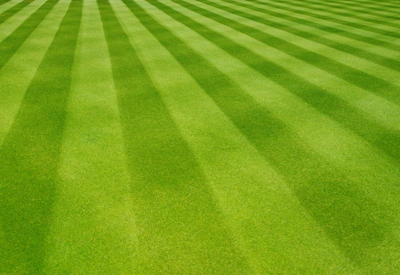 11 Easy-To-Execute Marketing Strategies to Boost Your Lawn Care Leads