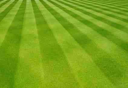 11 Easy-To-Execute Marketing Strategies to Boost Your Lawn Care Leads