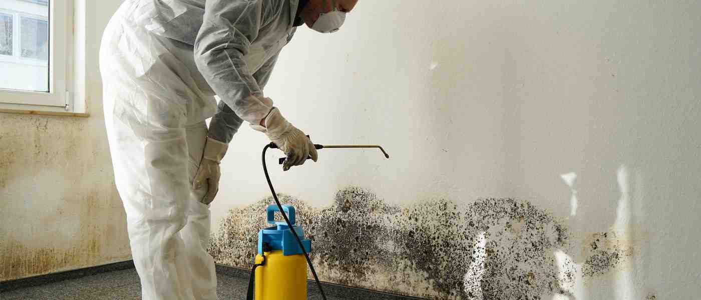 Why Social Media is Great for Generating Water Damage & Mold Restoration Leads