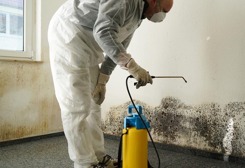 7 Underrated Ways Remediation Companies Can Rank Higher on Search Engines