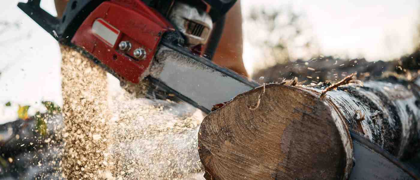 How to Build an Engaged Social Media Following for a Tree Service Business