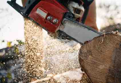 5 Link Building Strategies to Improve Your Tree Care SEO