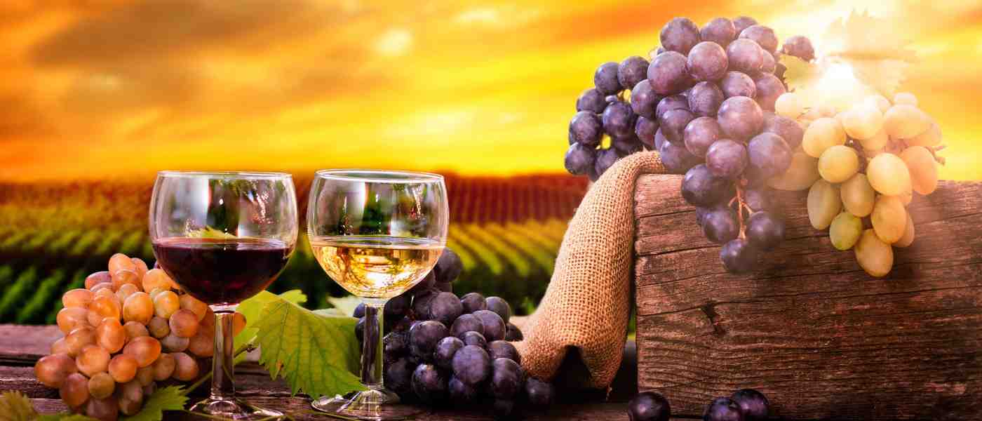 3 Digital Marketing Trends For Wineries In 2025