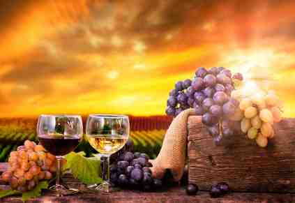 How Wineries Can Stop Losing Revenue (In 30 Days Or Less)