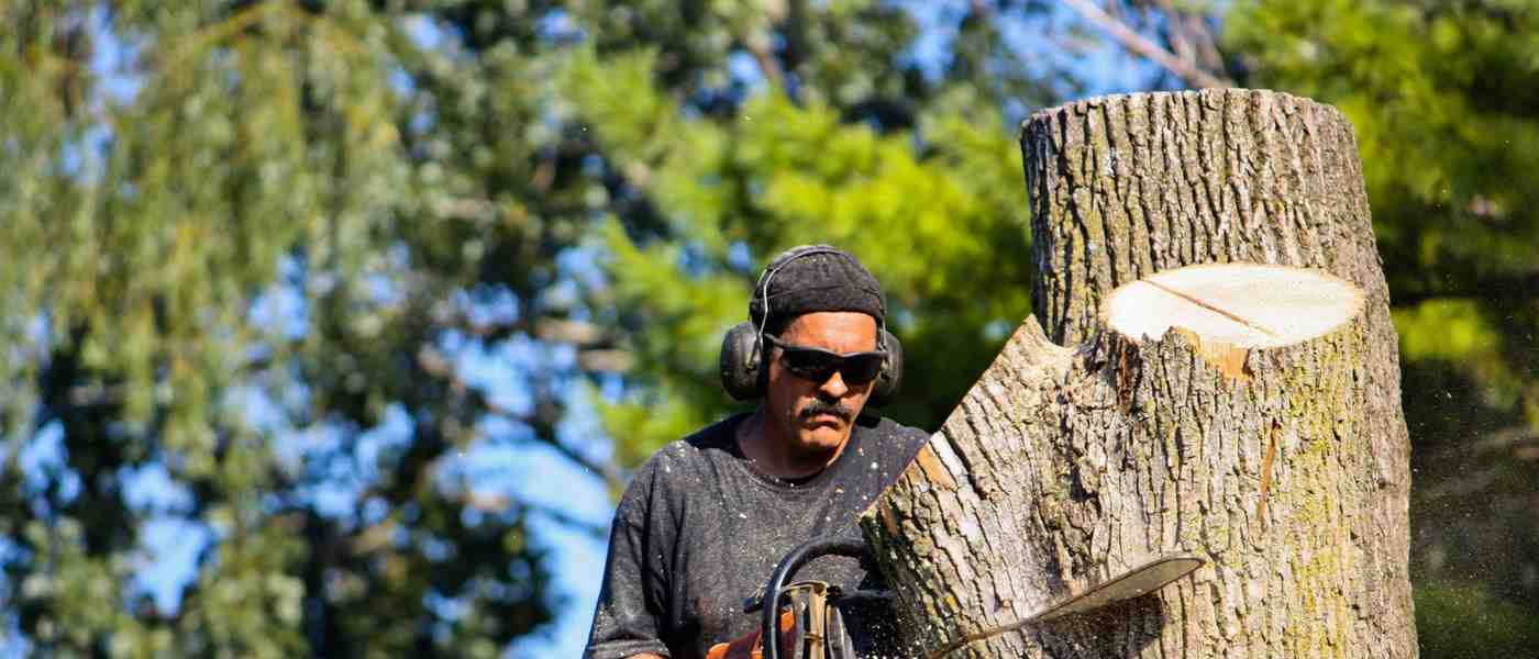 4 Tree Service Marketing Tips For Real, Fast Growth