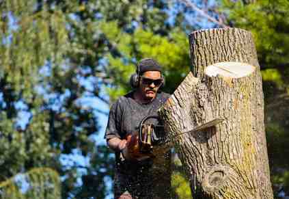 4 Tree Service Marketing Tips For Real, Fast Growth