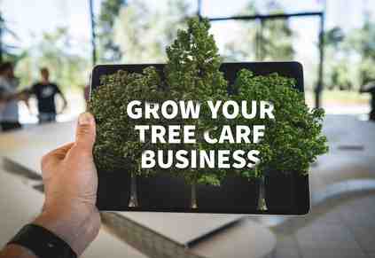 Top 3 Tips for Marketing Your Tree Service Business