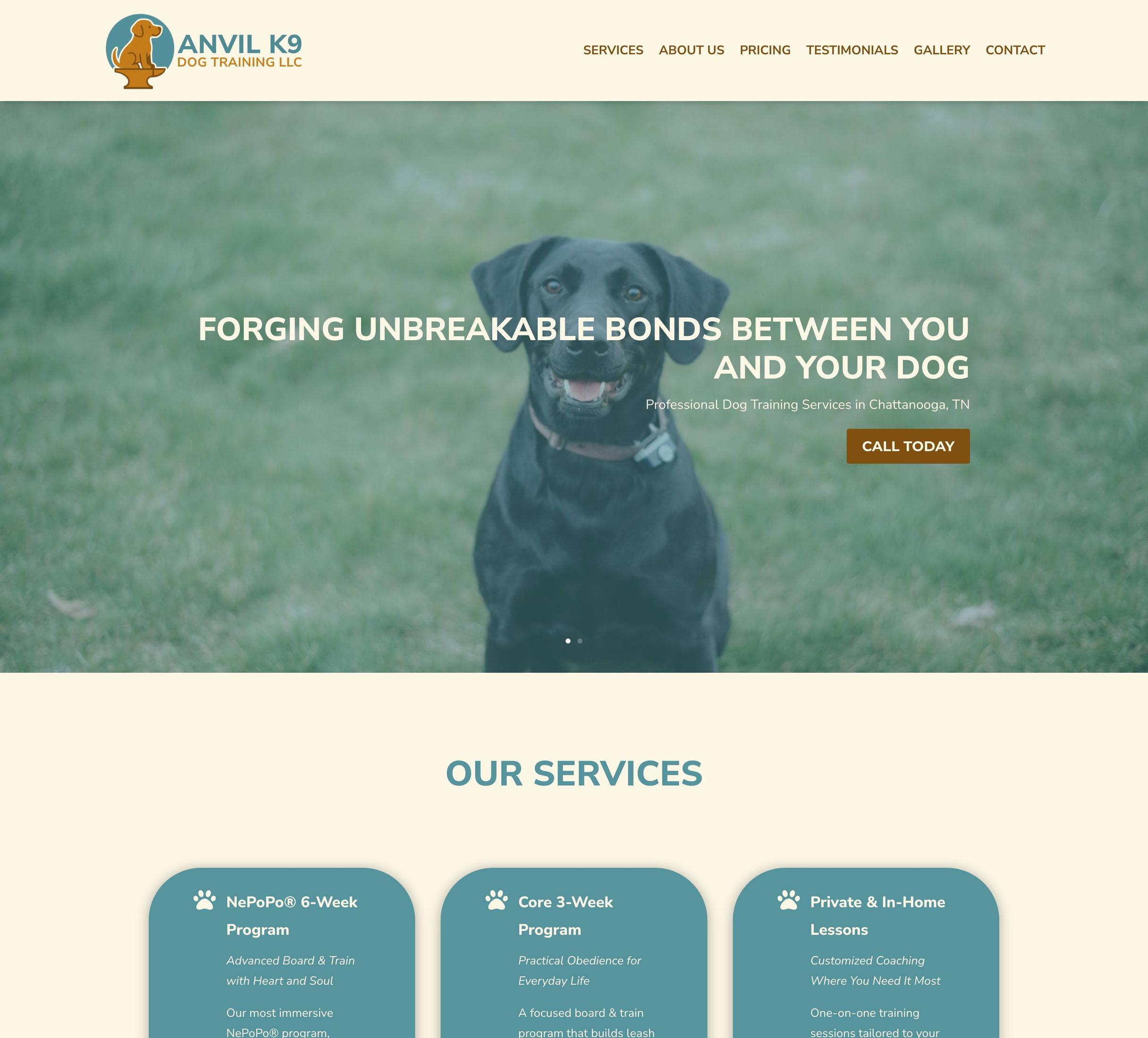 Anvil K9 Dog Training LLC