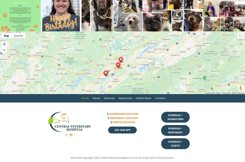 Central Veterinary Hospital