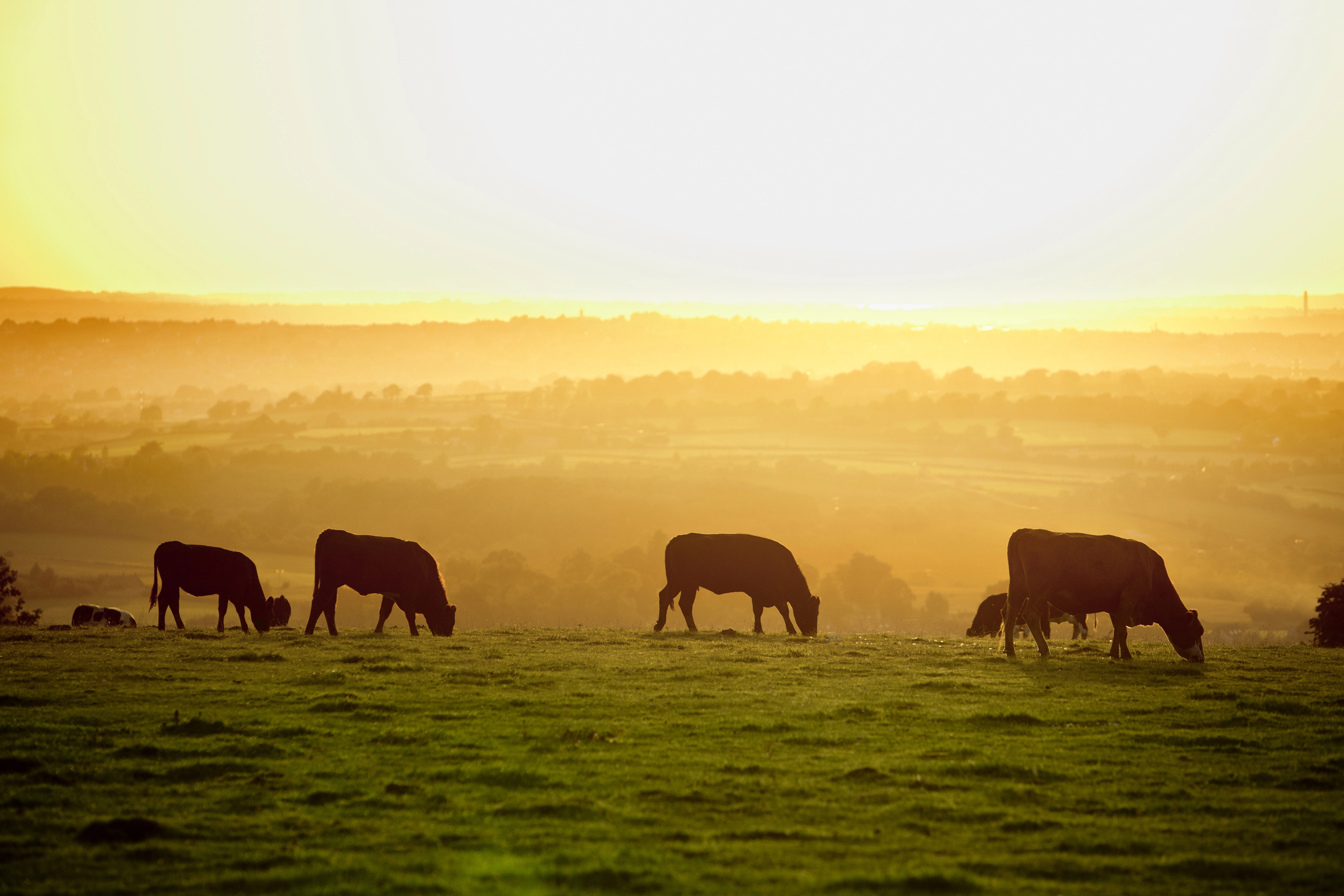 7 Ways Email Marketing Can Help Your Family Farm Attract New Customers
