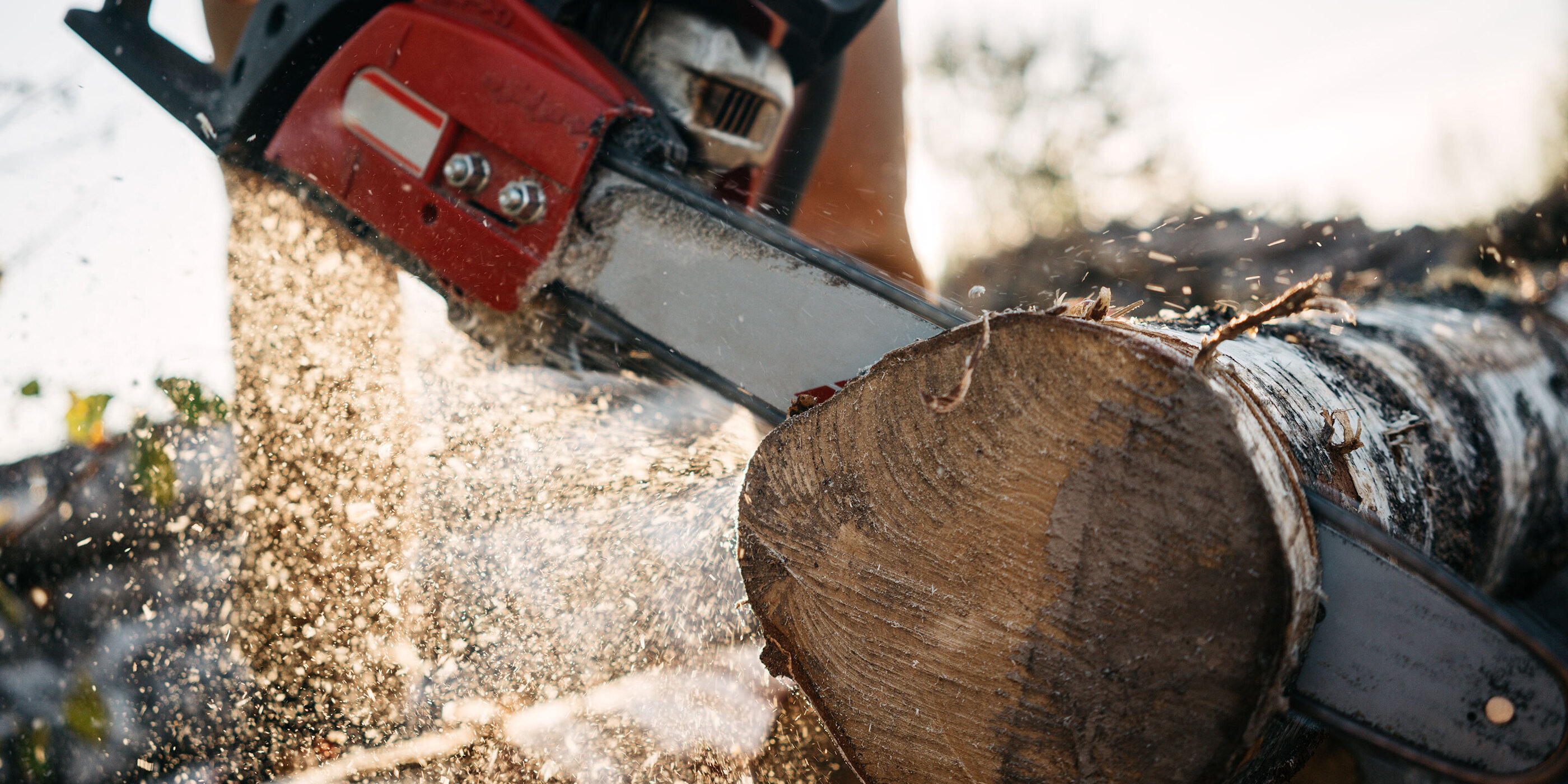 How to Build an Engaged Social Media Following for a Tree Service Business