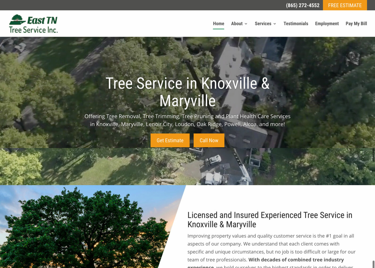 East TN Tree Service