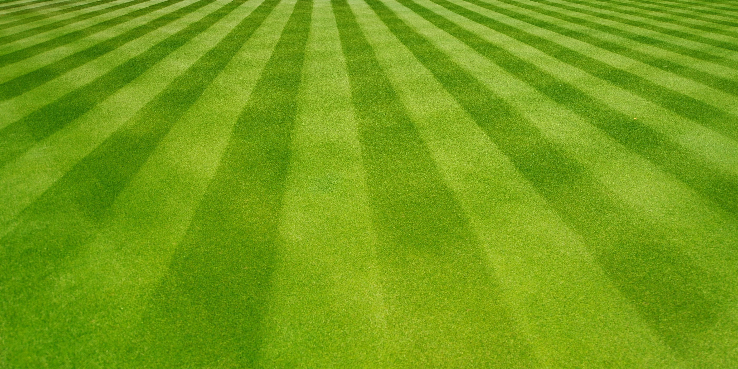 How To Attract More Leads For Your Lawn Care Business Using Content Marketing