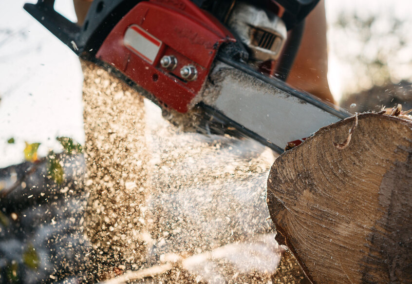 5 Link Building Strategies to Improve Your Tree Care SEO