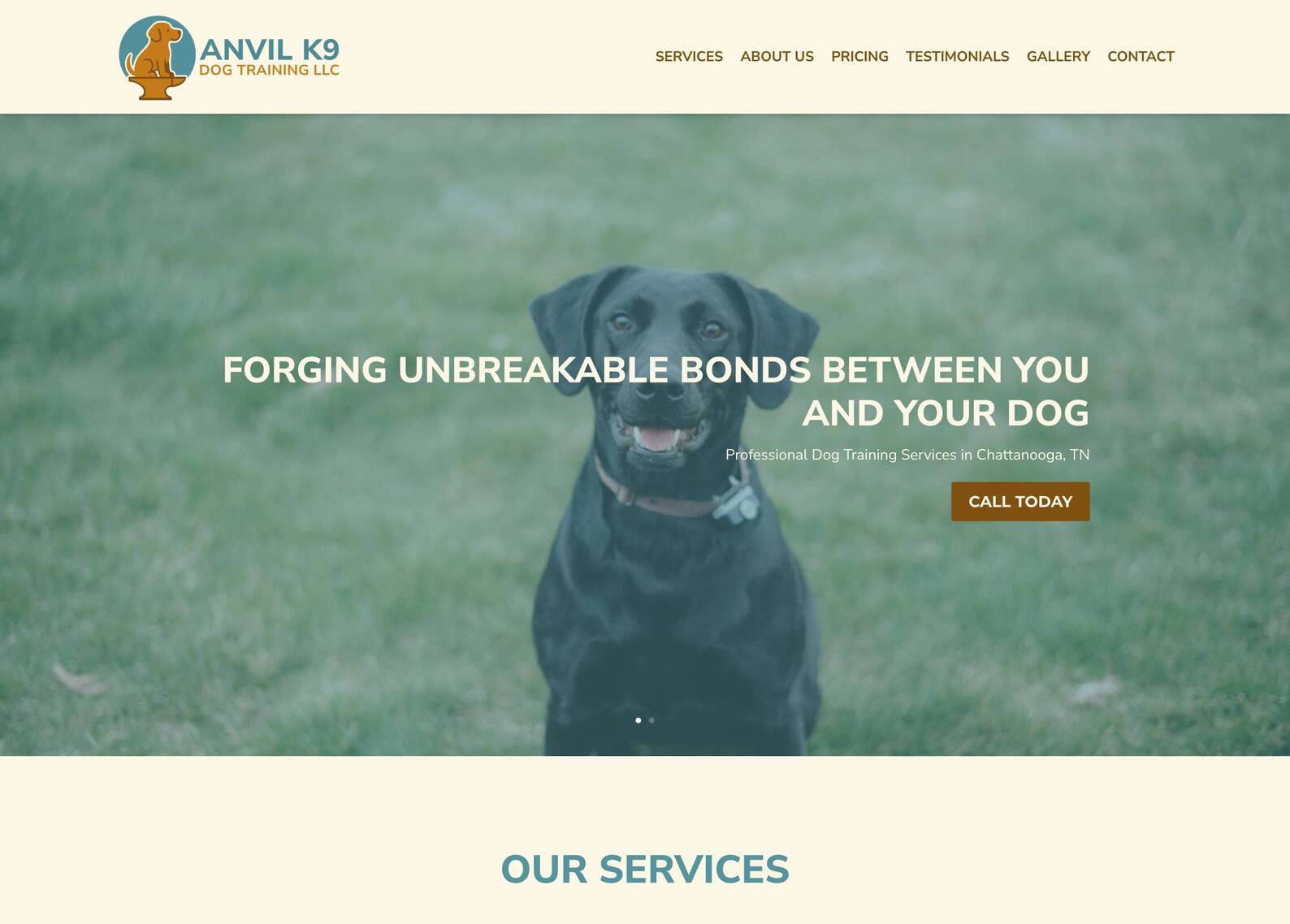 Anvil K9 Dog Training LLC