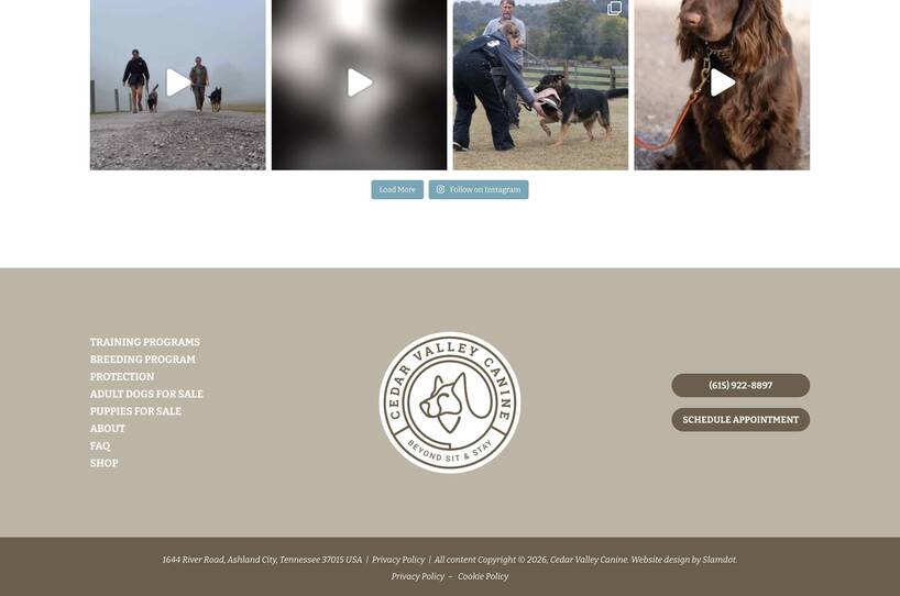 Cedar Valley Canine