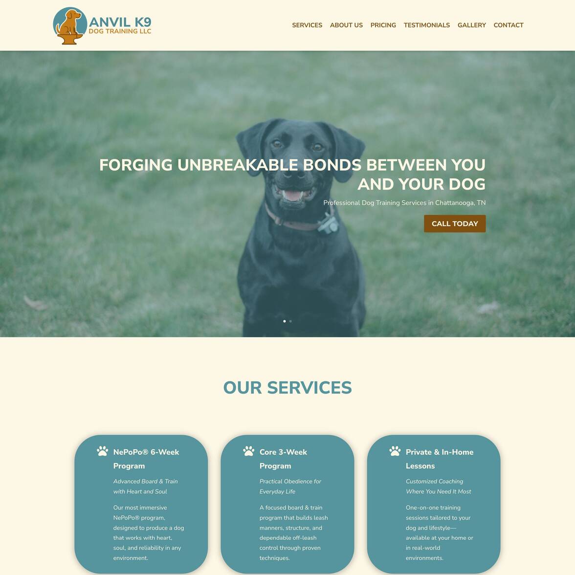 Anvil K9 Dog Training LLC