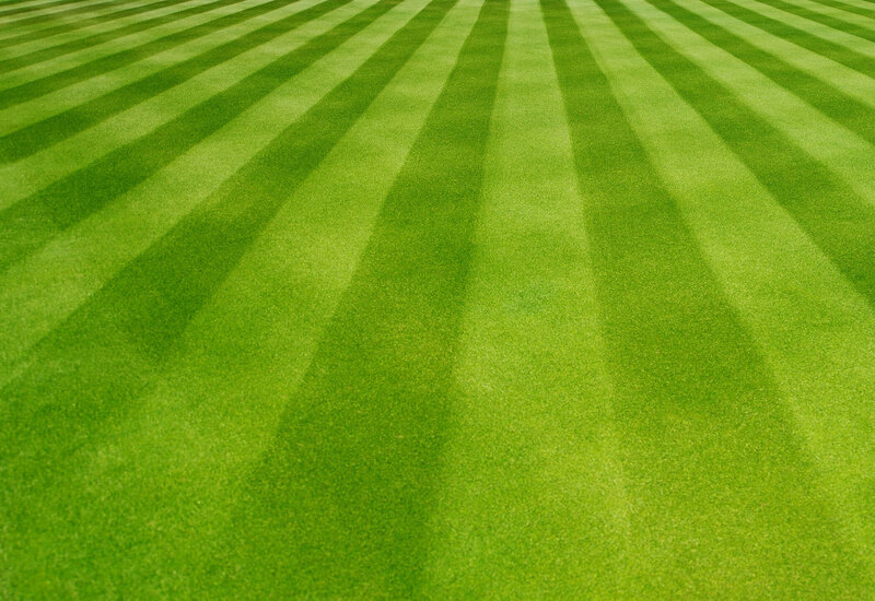 11 Easy-To-Execute Marketing Strategies to Boost Your Lawn Care Leads