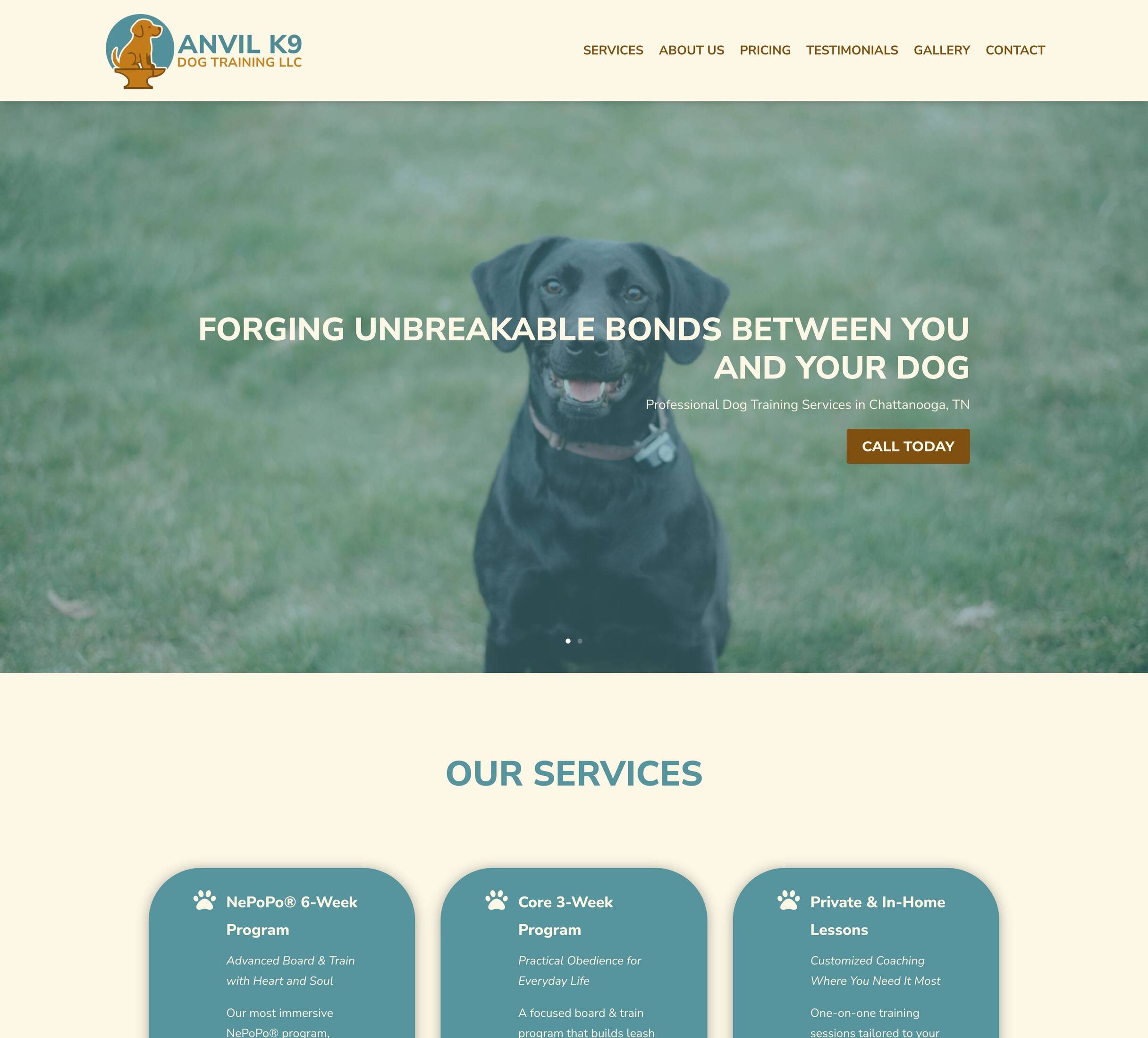 Anvil K9 Dog Training LLC