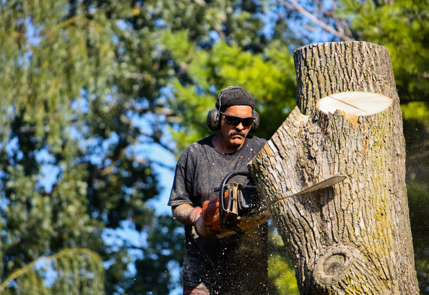 4 Tree Service Marketing Tips For Real, Fast Growth