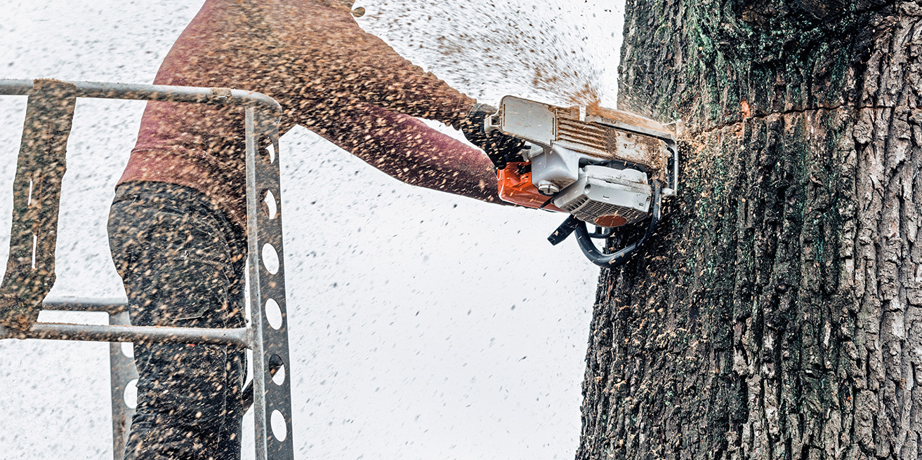5 Tips for Using Google My Business to Attract New Customers to Your Tree Service