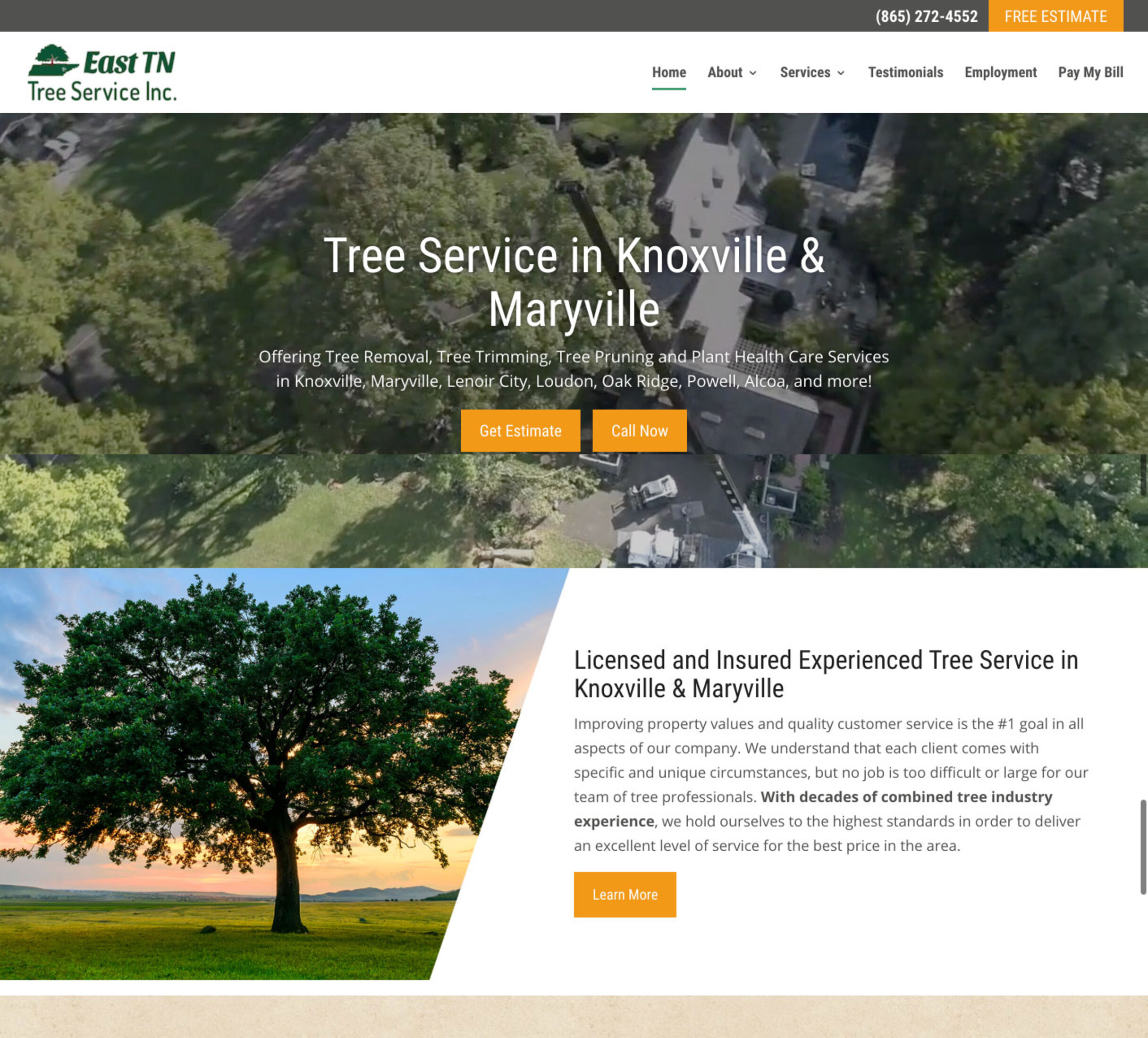 East TN Tree Service Client Spotlight Slamdot