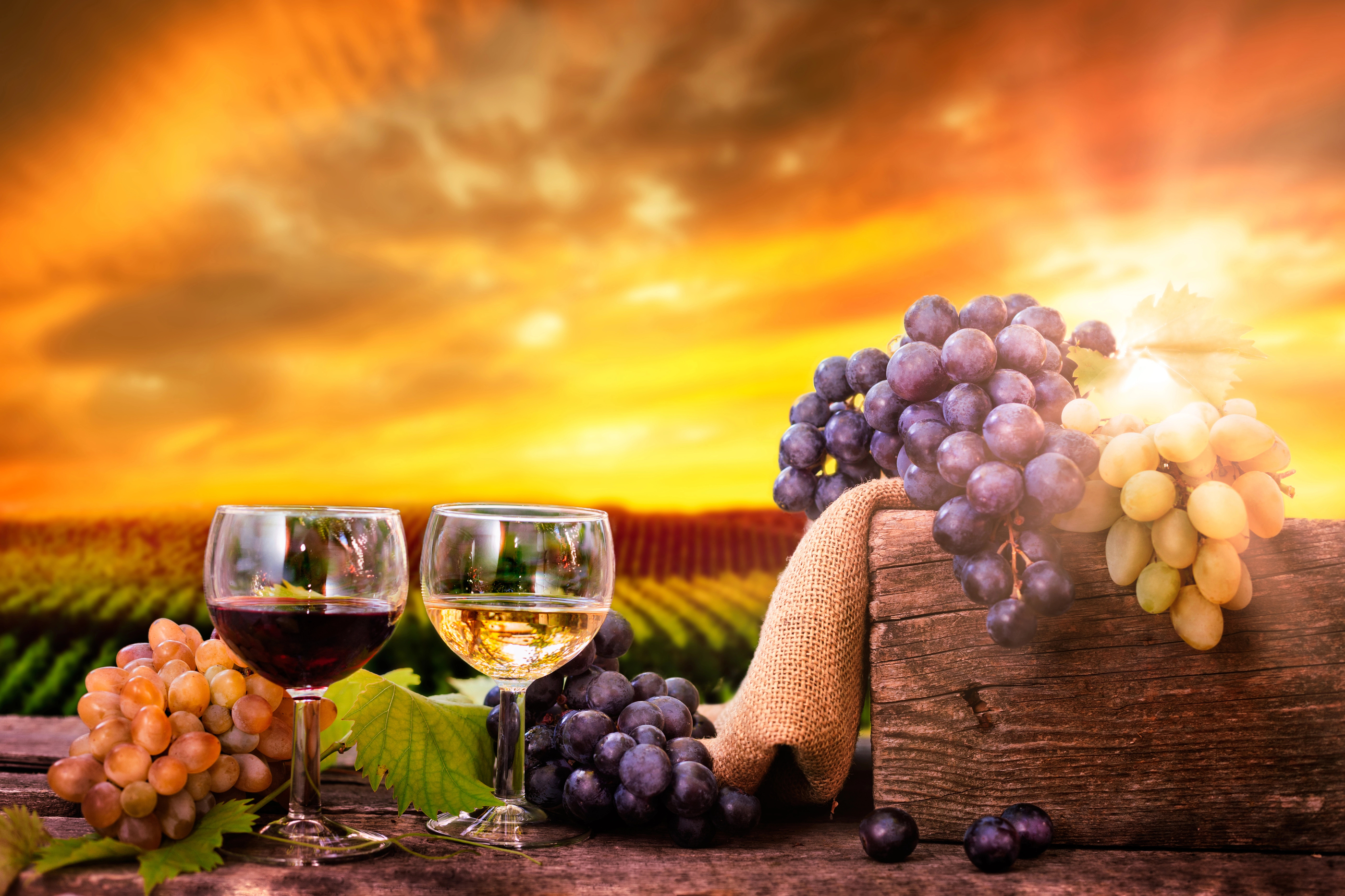 How Wineries Can Turn Social Media into Real-World Revenue