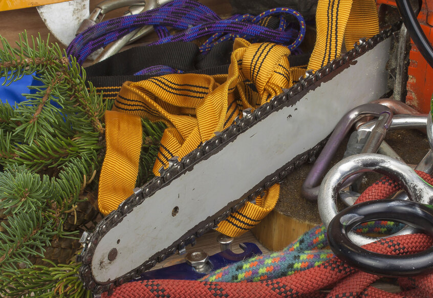 Tree Service Marketing 101: Taking Advantage of Google’s Marketing Tools