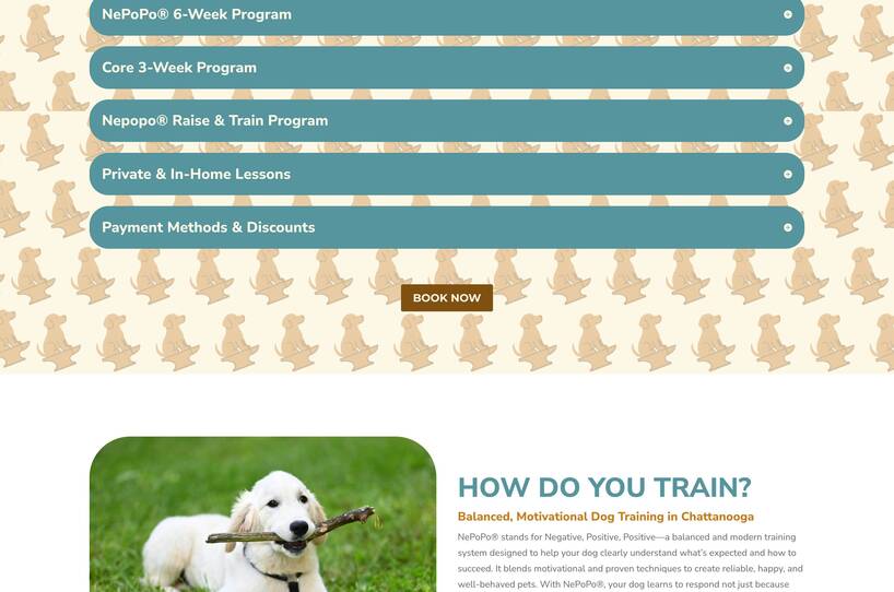 Anvil K9 Dog Training LLC