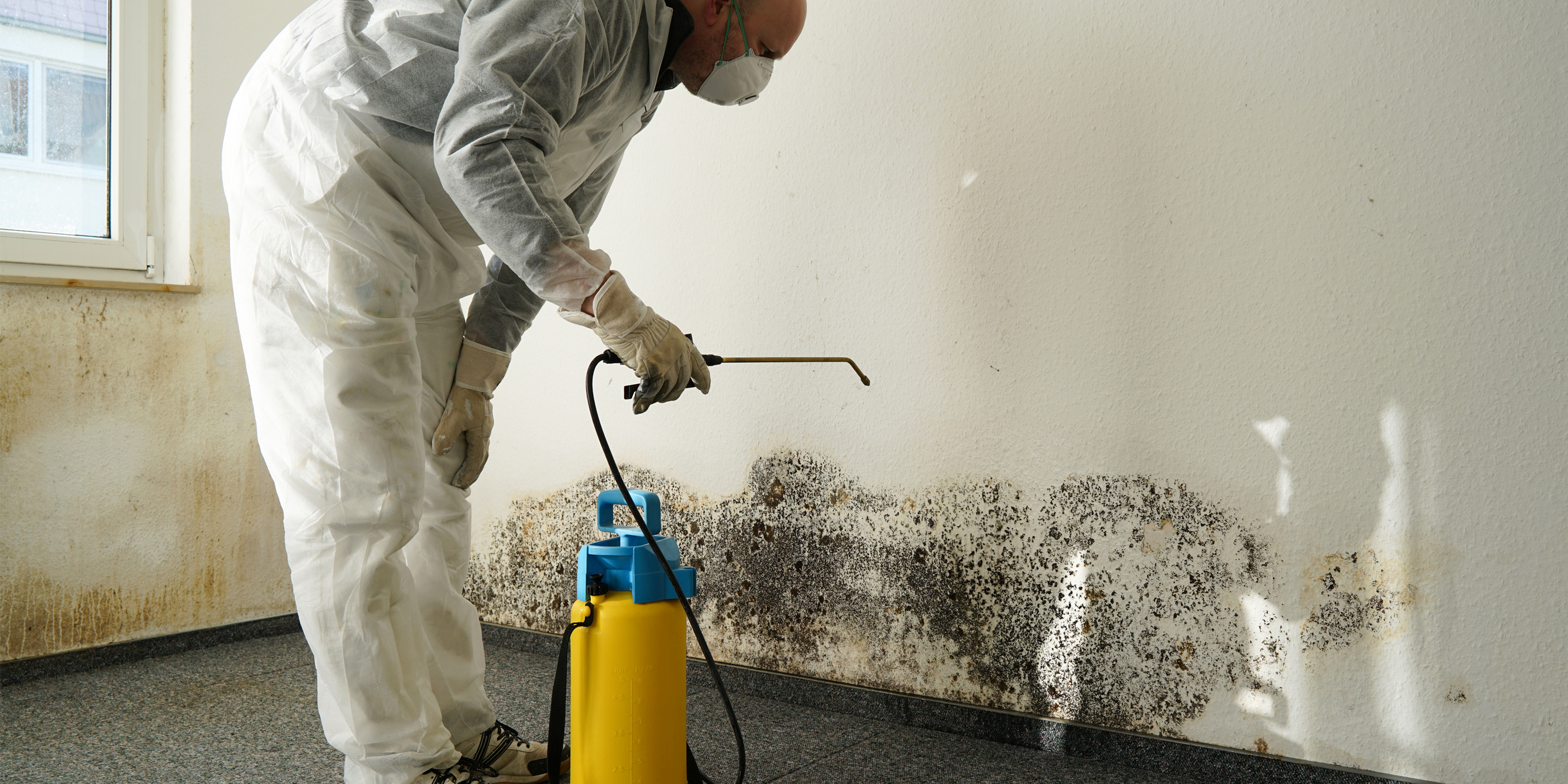 7 Underrated Ways Remediation Companies Can Rank Higher on Search Engines