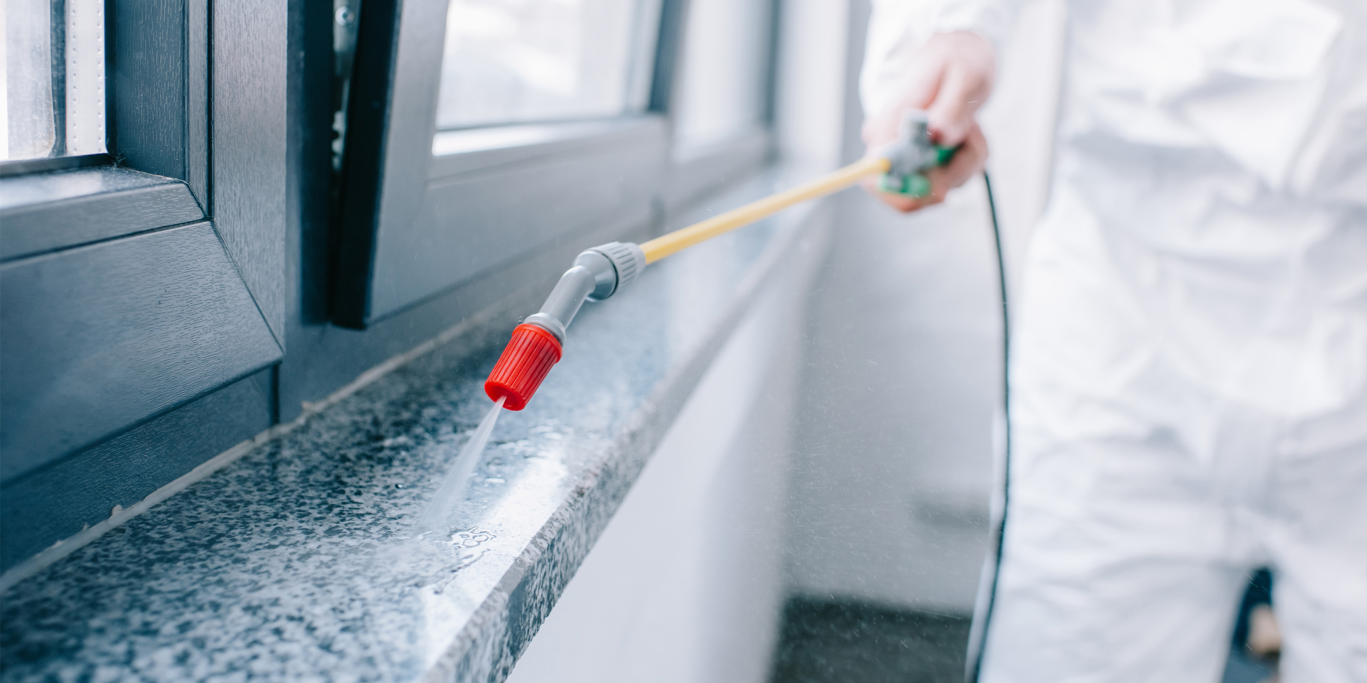 How Pest Control Services Can Double Their Revenue Using Digital Marketing