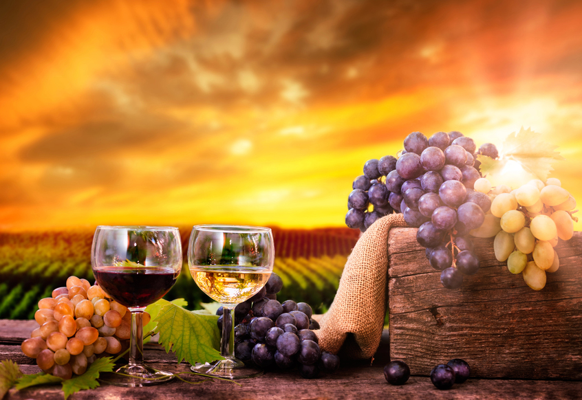 How Wineries Can Turn Social Media into Real-World Revenue