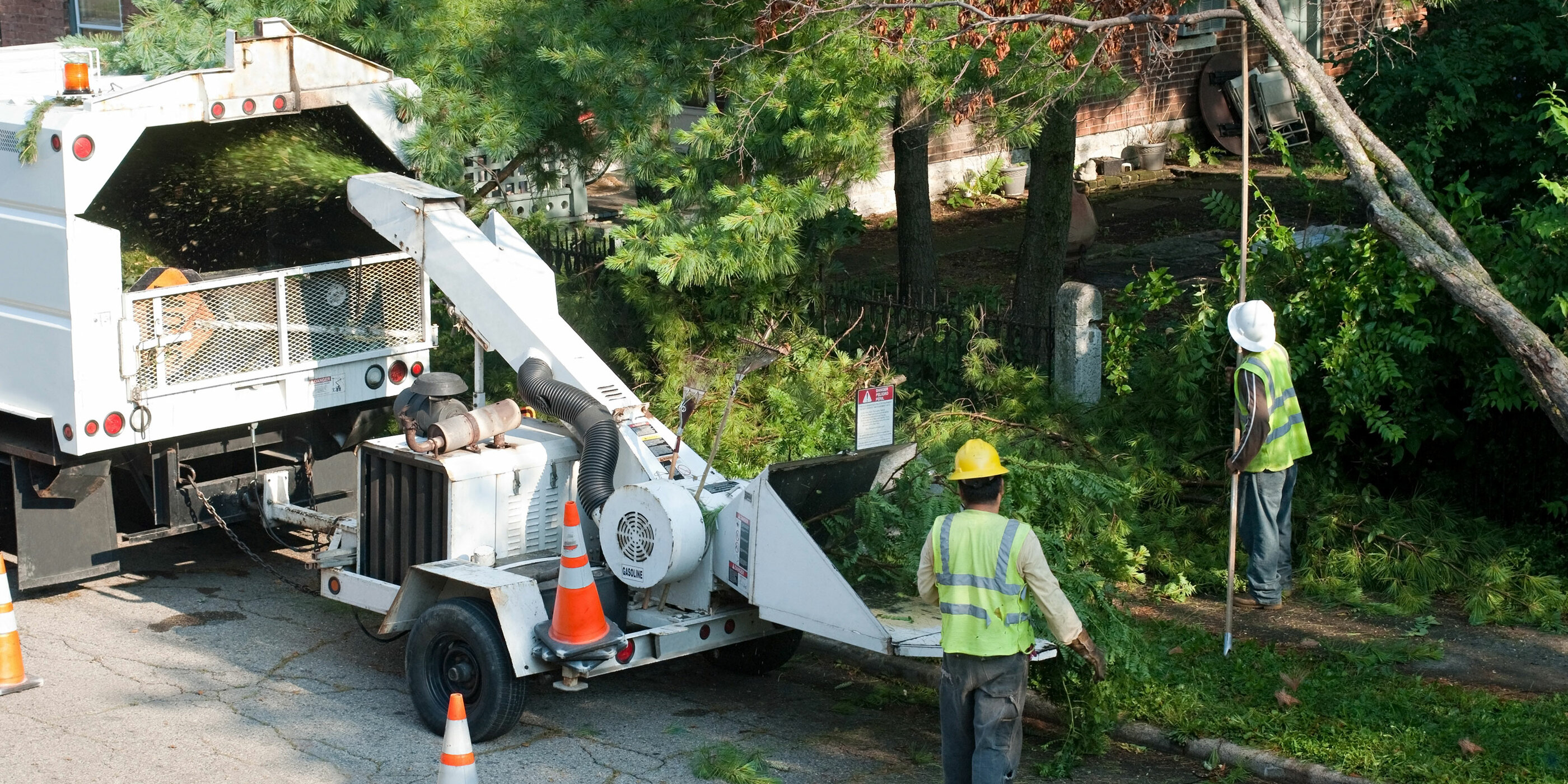 Use These 3 Types of Google Ads to Market Your Tree Service